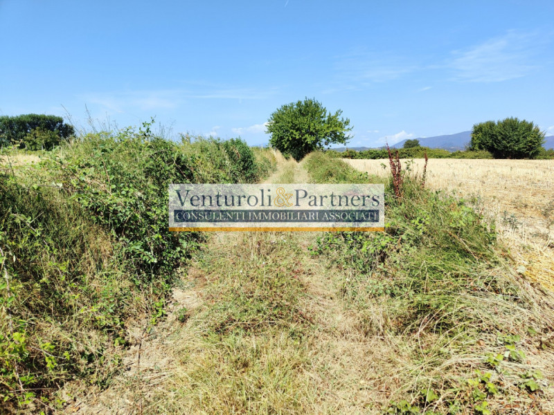 Lonato del Garda Vendita Terreno seminativo