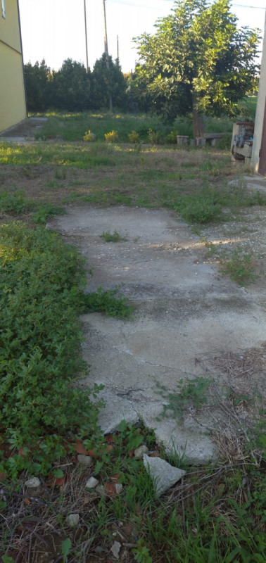 In vendita nel comune di Boara Pisani, proponiamo un’interessante casa singola immersa nella tran...