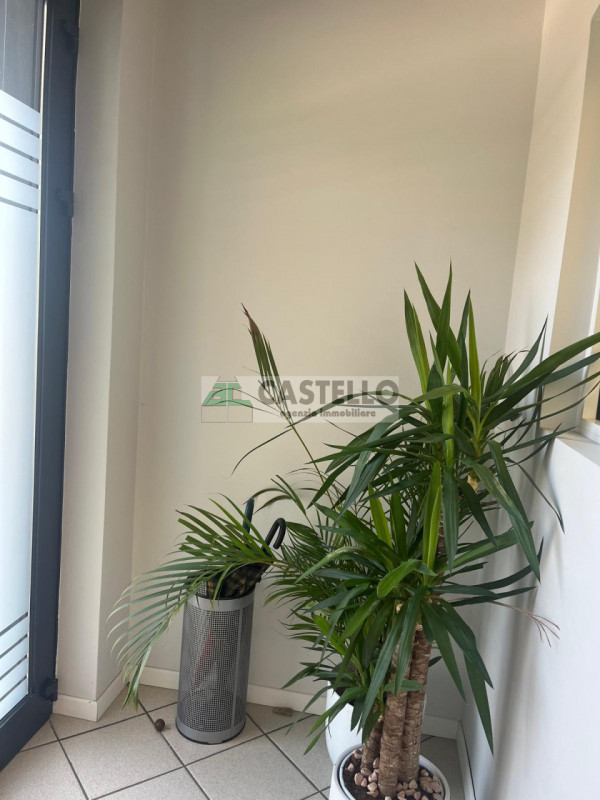 Cadoneghe Castagnara negozio di ~60mq attualmente suddiviso in 3 stanze e servizio, ideale anche ...