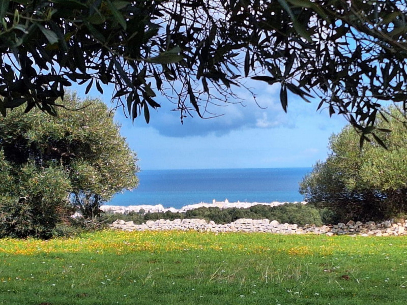 Polignano a Mare Vendita Terreno