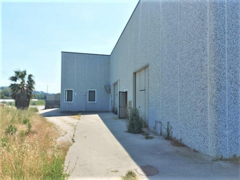 Sant'Elpidio a Mare Vendita Capannone