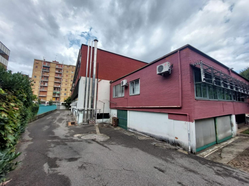 Cologno Monzese Vendita Ufficio