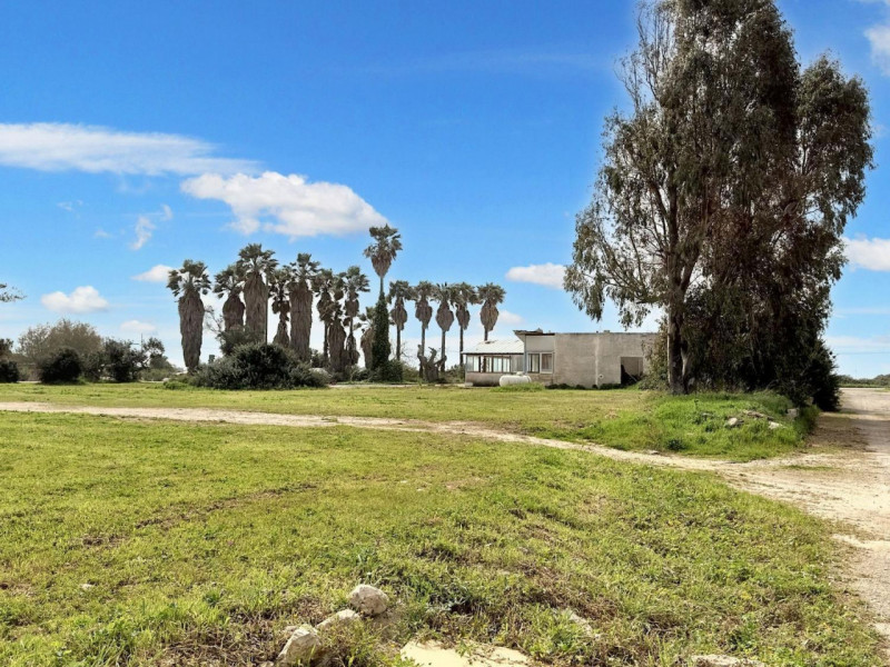 Porto Cesareo Vendita Terreno terreno agricolo/coltura