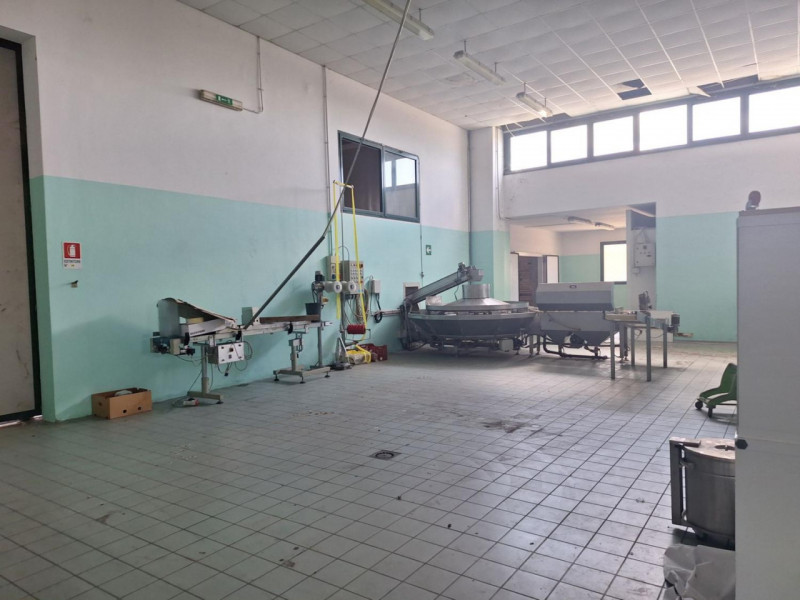 Quest’immobile viene venduto tramite asta online.

In vendita a Conselve (PD), in Via del Lavoro ...