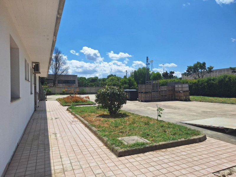 Quest’immobile viene venduto tramite asta online.

In vendita a Conselve (PD), in Via del Lavoro ...