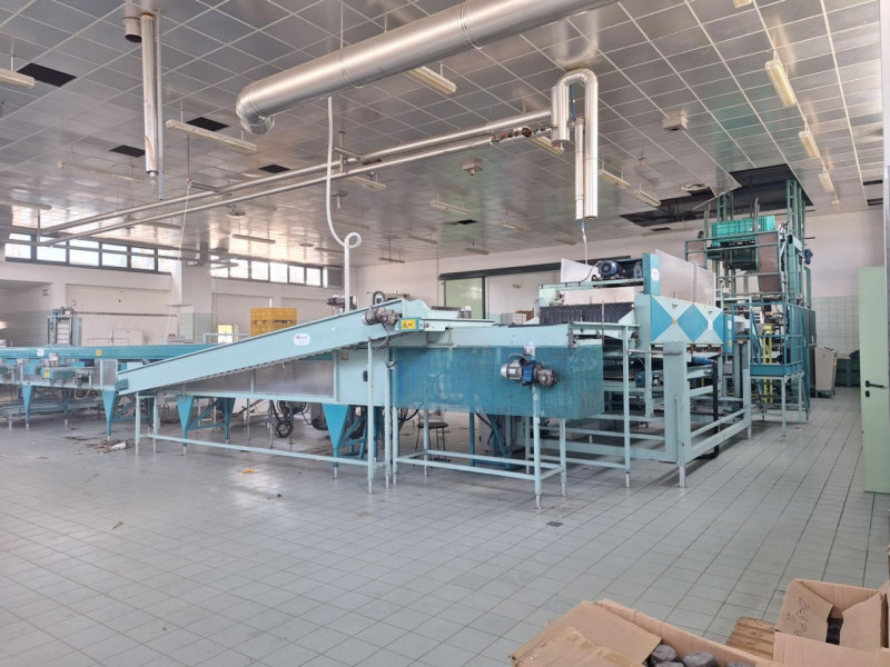 Quest’immobile viene venduto tramite asta online.

In vendita a Conselve (PD), in Via del Lavoro ...