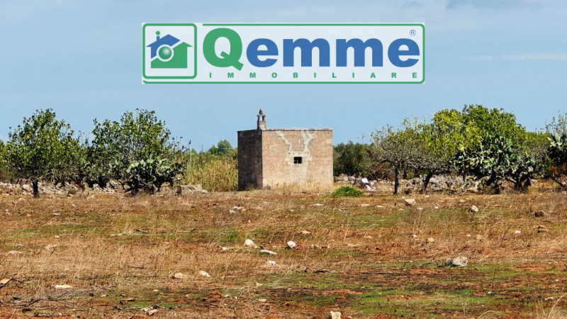 Lequile Vendita Terreno terreno agricolo/coltura