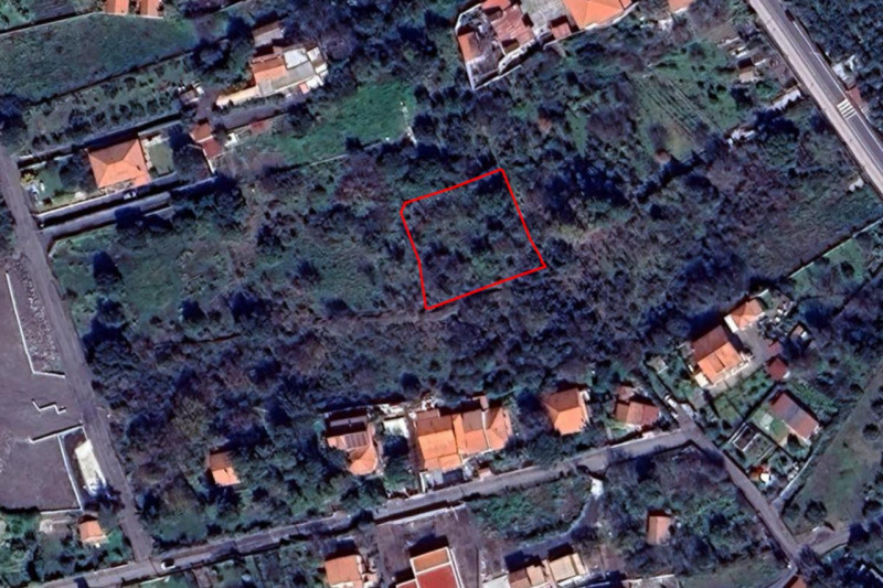 Pedara Vendita Terreno