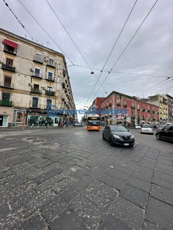 immagine 6