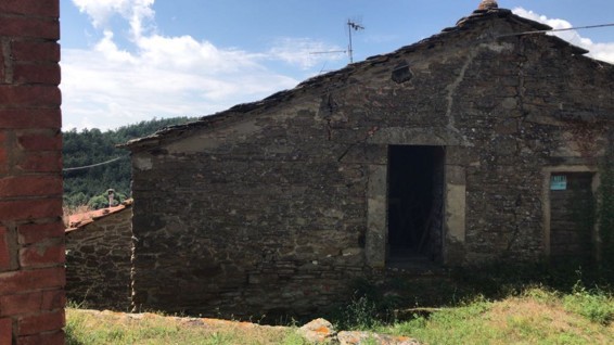 Subbiano Vendita Rustico
