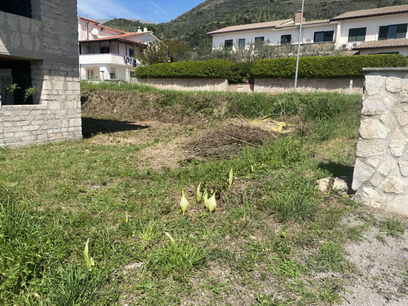 San Vittore del Lazio Vendita Appartamento