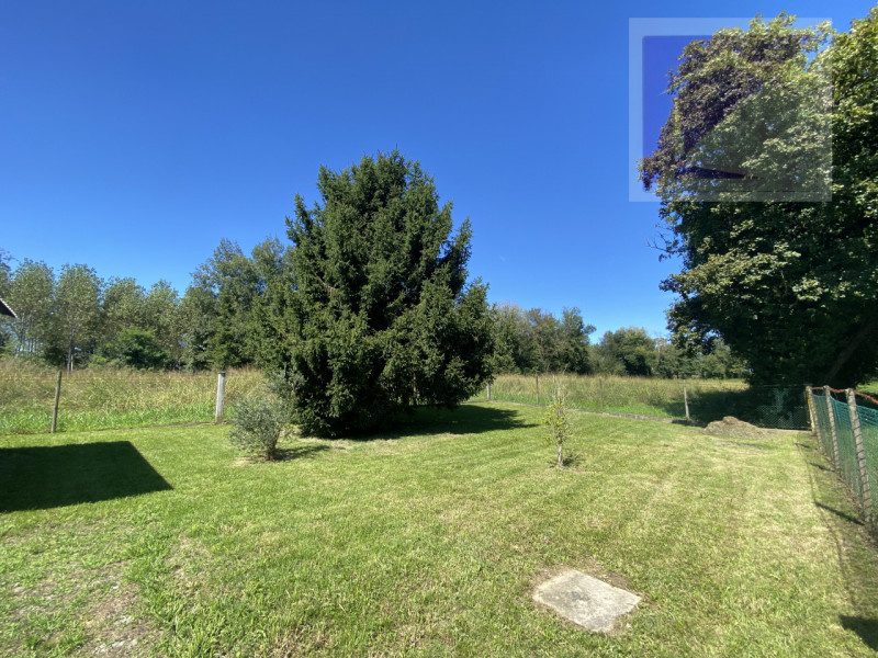 NOSTRA ESCLUSIVA! 
Piombino Dese, in zona tranquilla immersa nel verde, proponiamo in vendita cas...