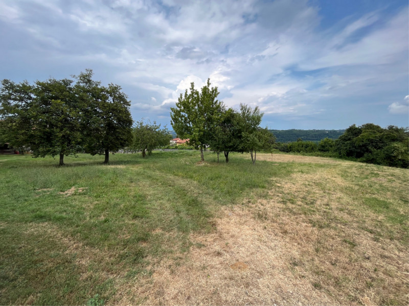 Stai cercando un terreno in zona collinare di Sovizzo dove progettare e costruire la casa dei tuo...