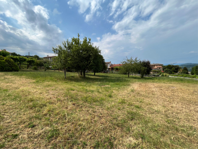 Stai cercando un terreno in zona collinare di Sovizzo dove progettare e costruire la casa dei tuo...