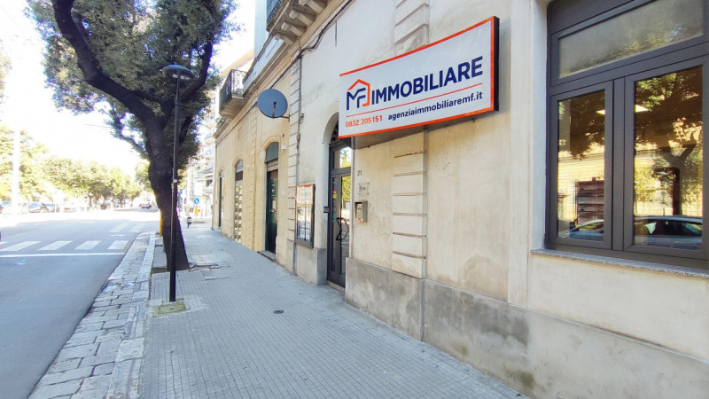 immagine 7