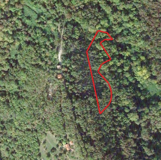 Segusino Vendita Terreno terreno agricolo/coltura