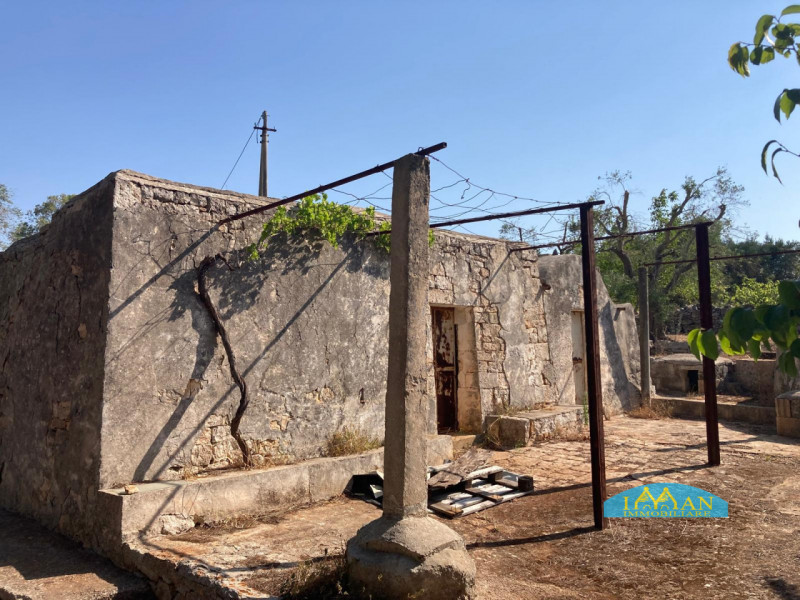 Ceglie Messapica Vendita Rustico casale
