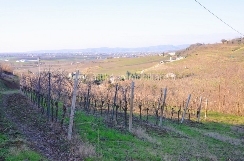 In un incantevole contesto collinare, nel comune di Vò, offriamo in vendita una magnifica casa di...