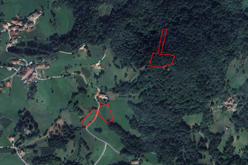 Valdagno Vendita Terreno terreno agricolo/coltura