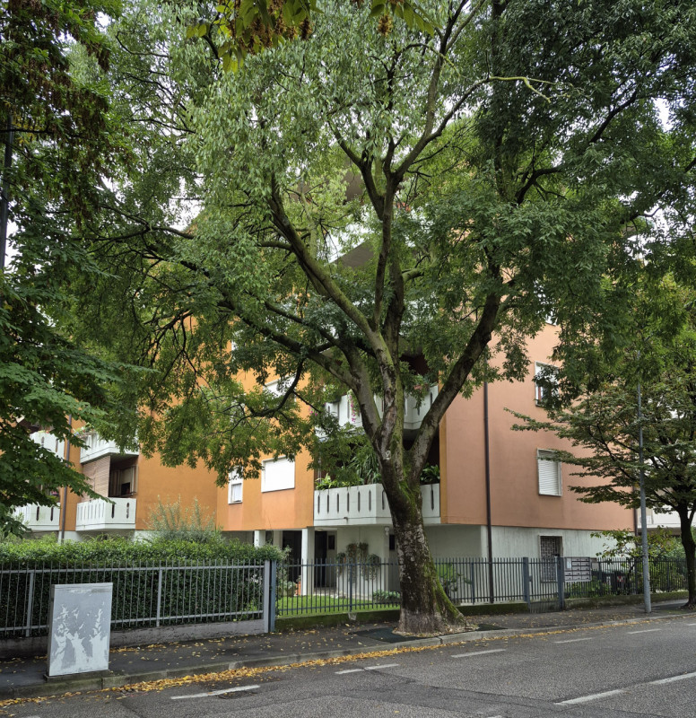 Padova Vendita Appartamento