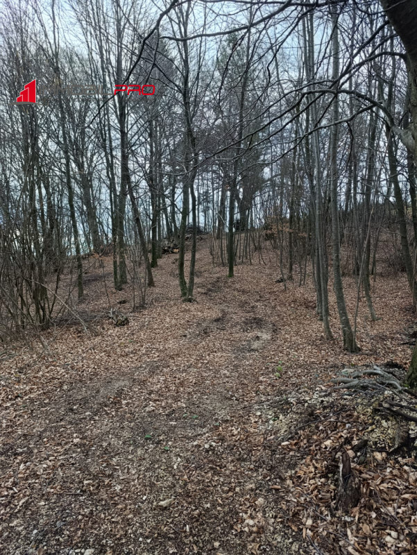 In un angolo incantato di Piovene Rocchette (VI), immerso nella quiete della località Barchi, sor...