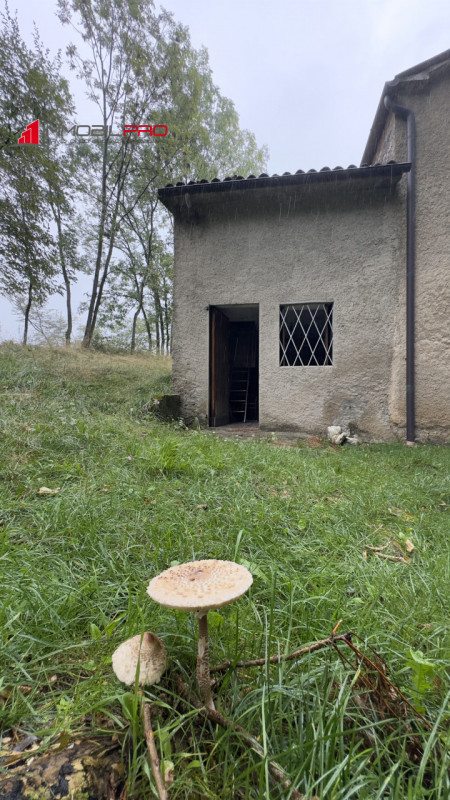 In un angolo incantato di Piovene Rocchette (VI), immerso nella quiete della località Barchi, sor...
