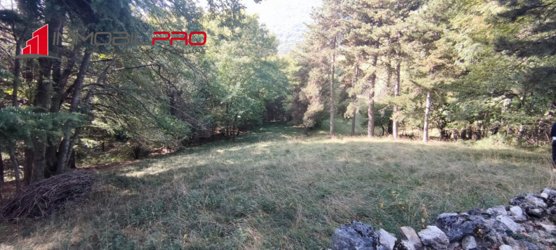 In un angolo incantato di Piovene Rocchette (VI), immerso nella quiete della località Barchi, sor...