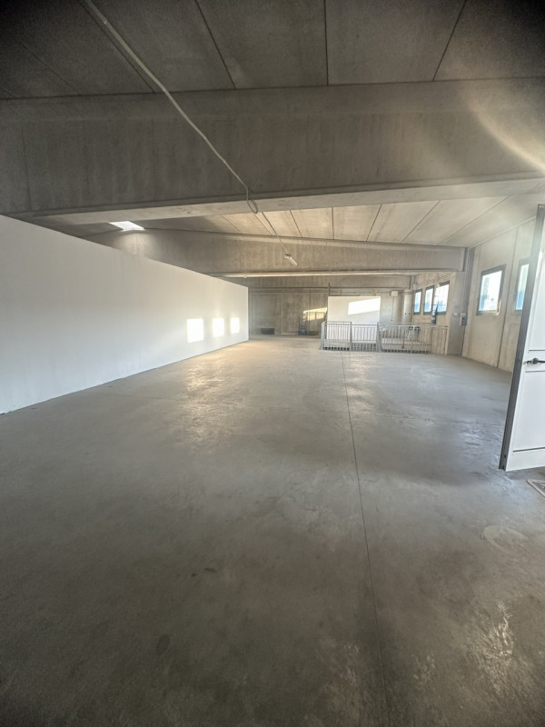 OTTIMA CASA INDIPENDENTE SU DUE LIVELLI CON CAPANNONE ACCOSTATO

Immobile in esclusiva al Gruppo ...