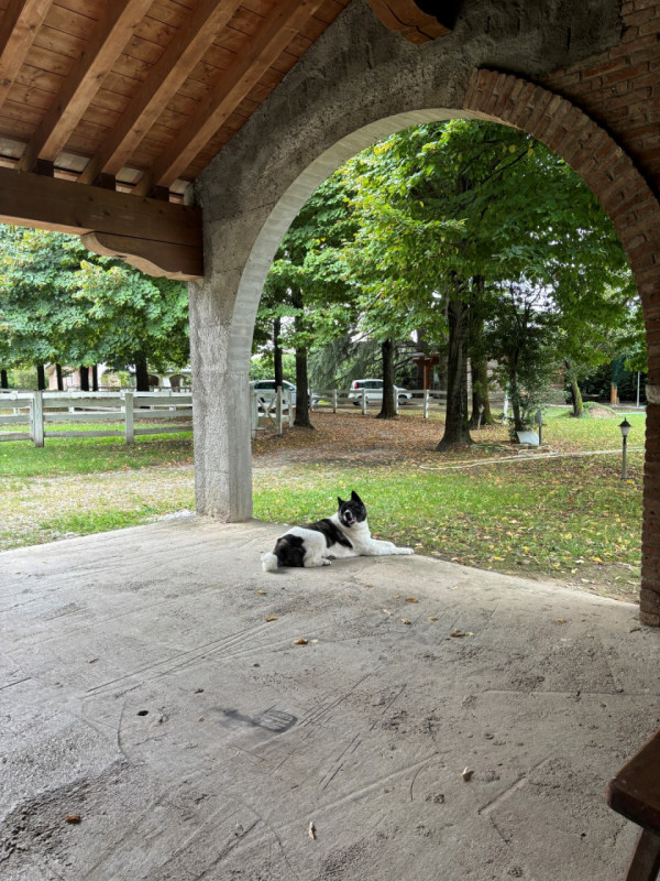 LOREGGIA: ampia villa contemporanea immersa nella natura, proposta al 'GREZZO' su un lotto di ter...