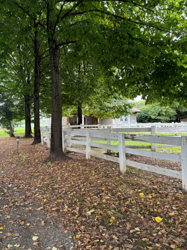 LOREGGIA: ampia villa contemporanea immersa nella natura, proposta al 'GREZZO' su un lotto di ter...