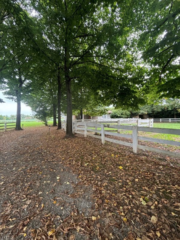 LOREGGIA: ampia villa contemporanea immersa nella natura, proposta al 'GREZZO' su un lotto di ter...