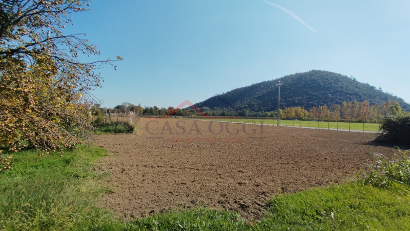 Terreno di circa 11.000 mq di cui:
Terreno edificabile (previo accordo pubblico/privato) di circa...