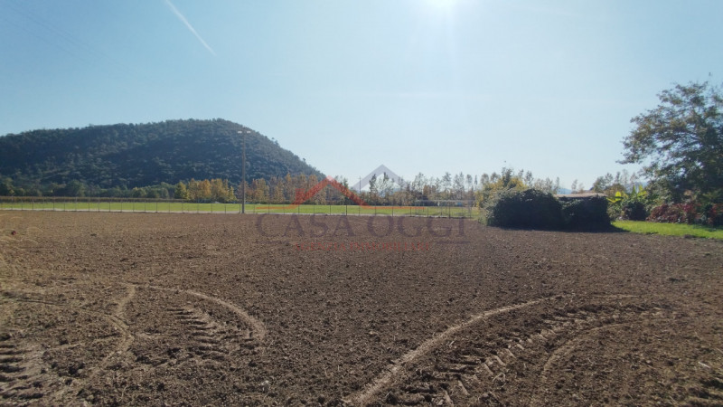 Terreno di circa 11.000 mq di cui:
Terreno edificabile (previo accordo pubblico/privato) di circa...