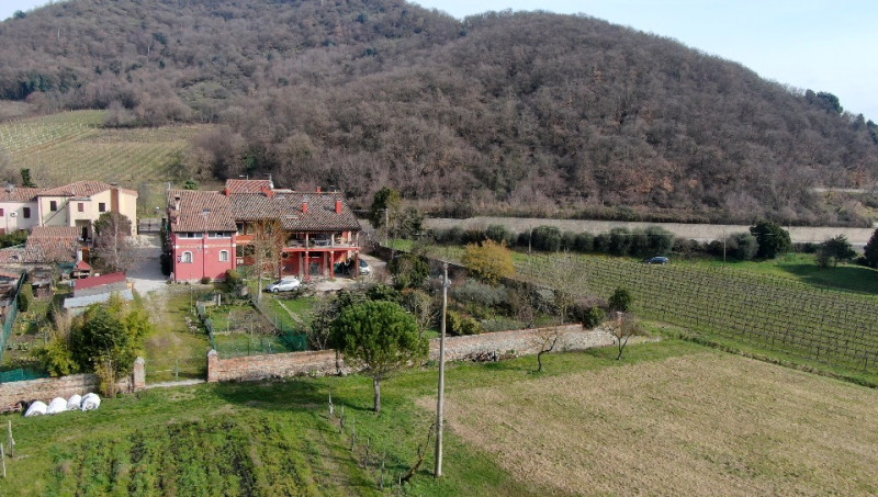 In tranquillo contesto di campagna tra Galzignano e Battaglia Terme, immerso nel verde e vicino a...