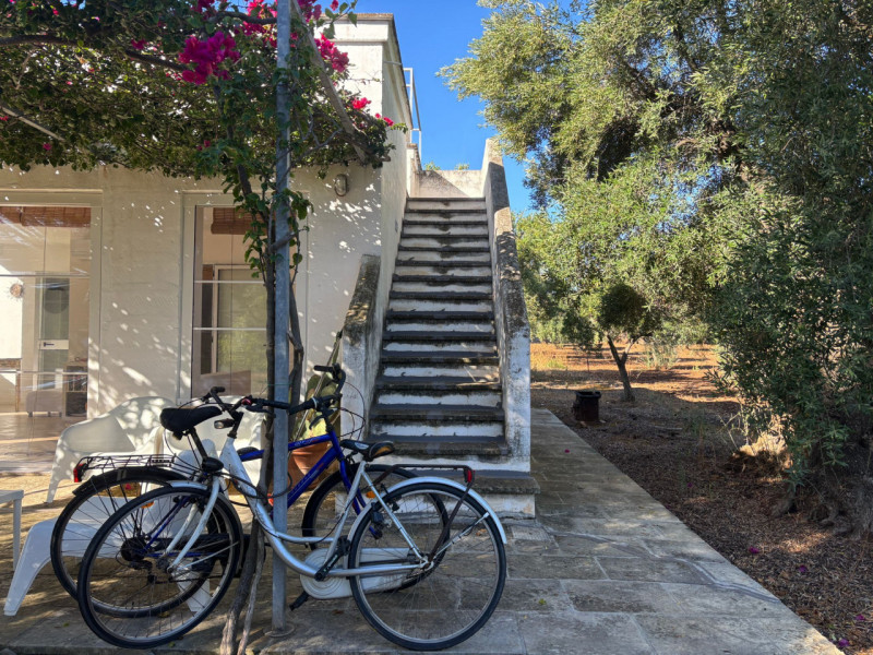 immagine annuncio 7 di 15