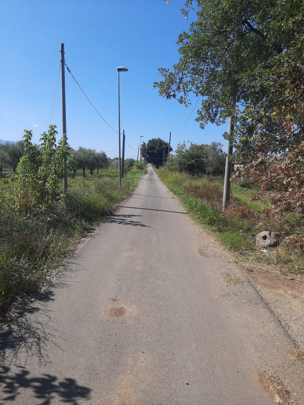 Eboli Vendita Terreno terreno agricolo/coltura
