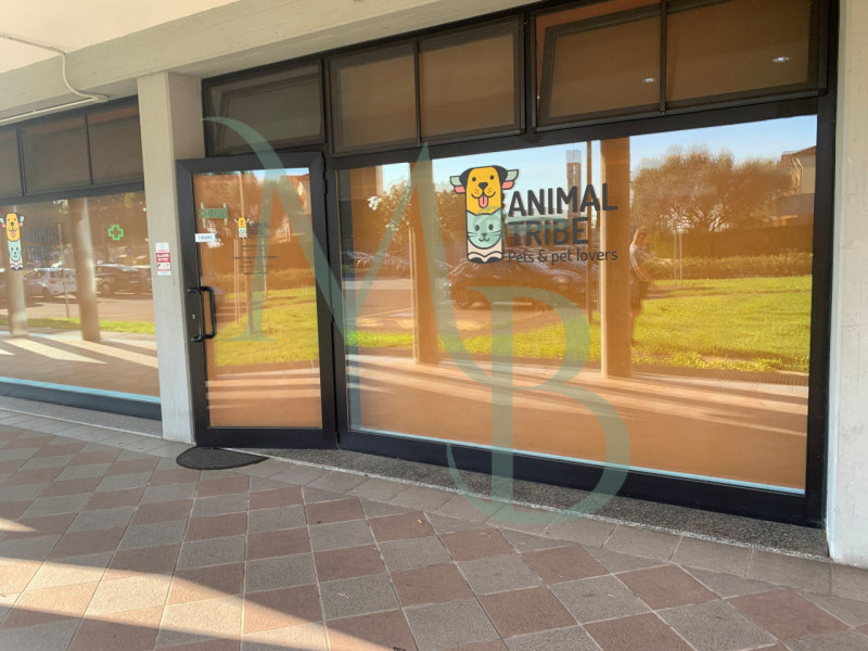 VIGONZA località PERAROLO: Immobiliare MB propone in locazione un immobile commerciale di circa 1...