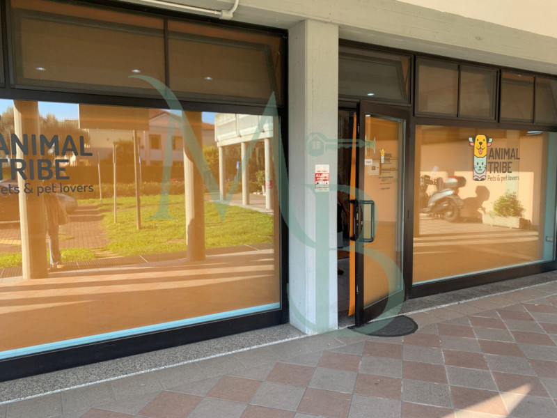 VIGONZA località PERAROLO: Immobiliare MB propone in locazione un immobile commerciale di circa 1...