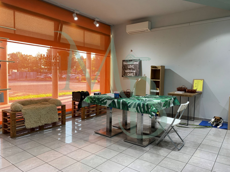 VIGONZA località PERAROLO: Immobiliare MB propone in locazione un immobile commerciale di circa 1...