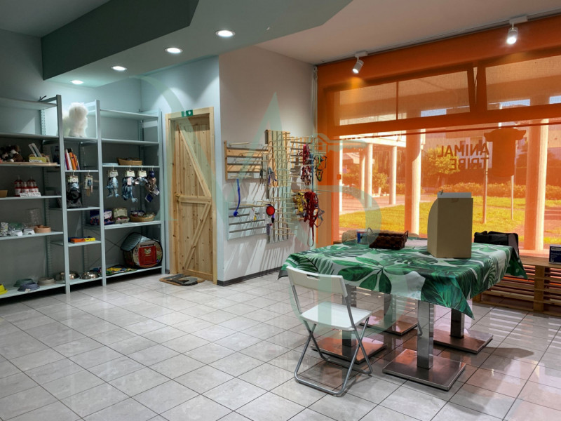 VIGONZA località PERAROLO: Immobiliare MB propone in locazione un immobile commerciale di circa 1...