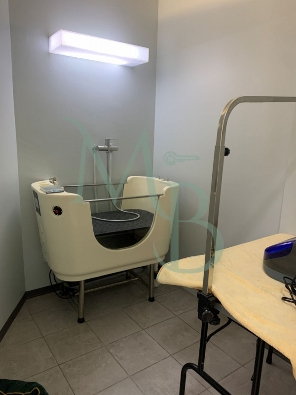 VIGONZA località PERAROLO: Immobiliare MB propone in locazione un immobile commerciale di circa 1...