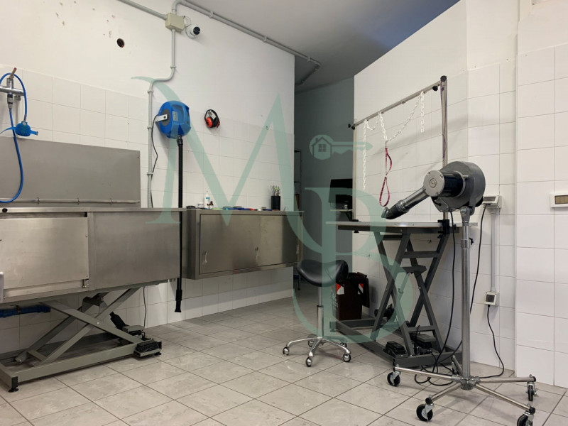 VIGONZA località PERAROLO: Immobiliare MB propone in locazione un immobile commerciale di circa 1...