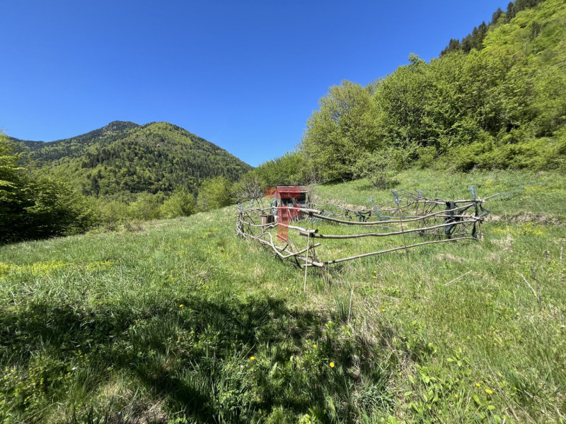 Nel suggestivo contesto montano di Lamon, in provincia di Belluno, proponiamo in vendita una cara...