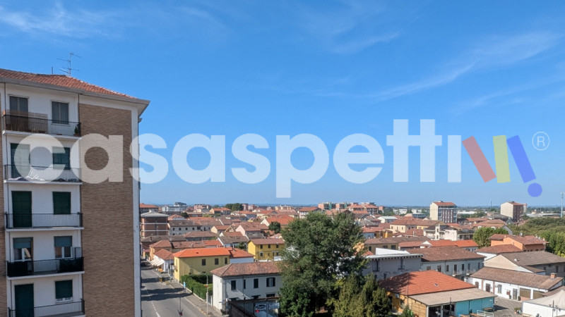 Alessandria Vendita Appartamento