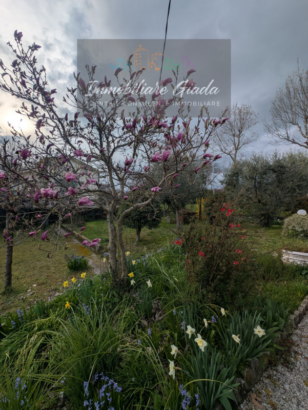 Porzione di testa situata nel cuore del comune di Orsago, disponibile per la vendita. Con una sup...