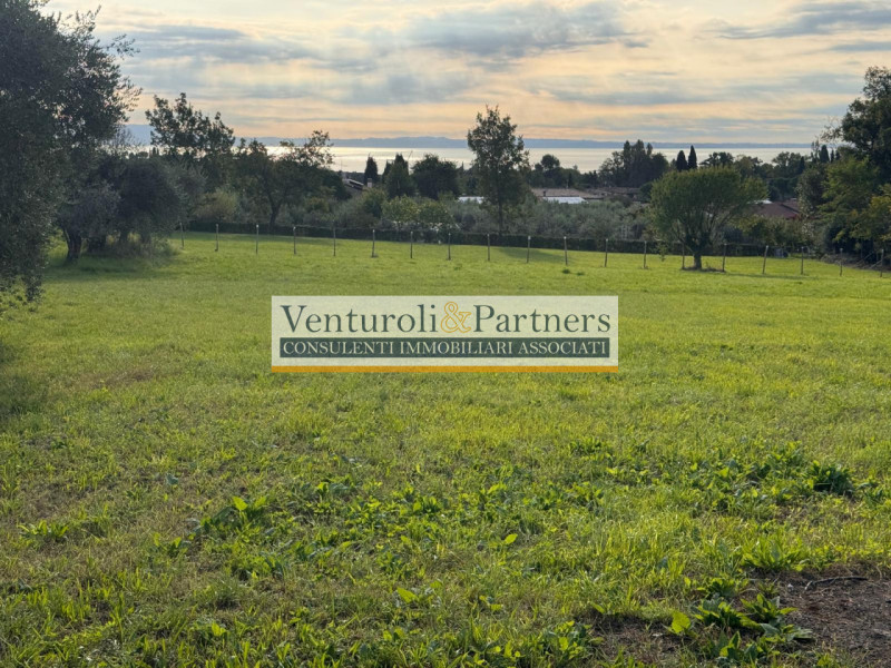 San Felice del Benaco Vendita Terreno terreno agricolo/coltura