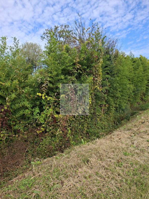 Ecco la casa che stavi cercando?
Cinque motivi per cui questa potrebbe essere la tua casa ideale!...