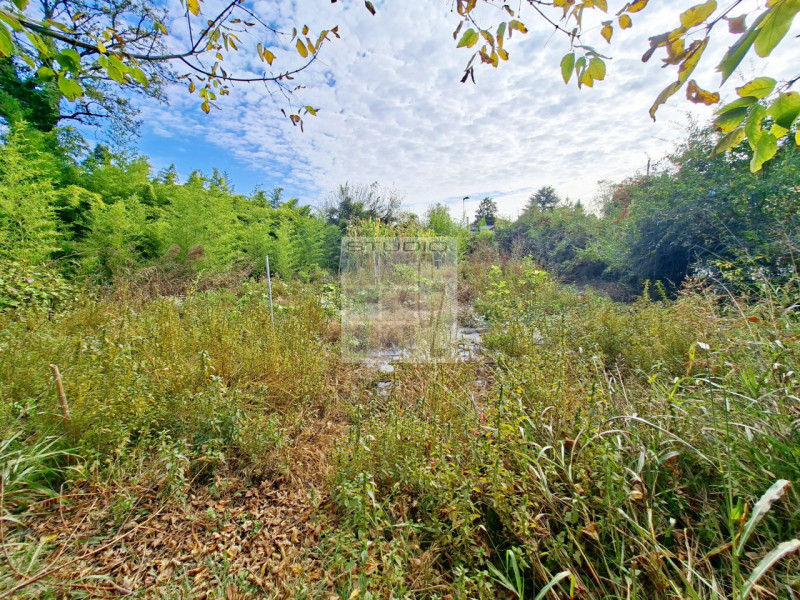 Ecco la casa che stavi cercando?
Cinque motivi per cui questa potrebbe essere la tua casa ideale!...
