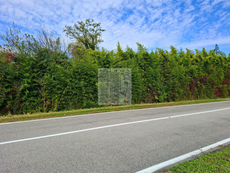Ecco la casa che stavi cercando?
Cinque motivi per cui questa potrebbe essere la tua casa ideale!...