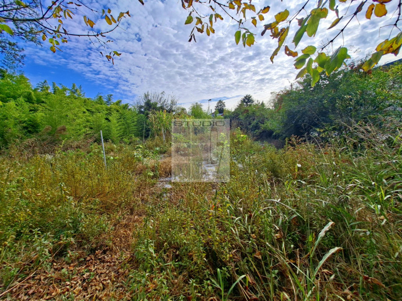 Ecco la casa che stavi cercando?
Cinque motivi per cui questa potrebbe essere la tua casa ideale!...